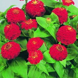 ����  ������ ������� ������� (1��-100��) ���������������� ������, ������ �� 880 ���