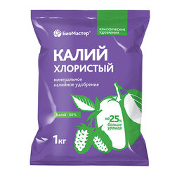 ����  ����� ��������� (1��.), ������ �� 149 ���