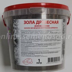 ����  ���� �������� (1�)(����� ��.), ������ �� 271 ���