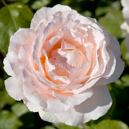 ����  ���� ����� �����-��������� ����� �� ����, ������ �� 719 ���