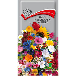 ����  ����� ���������� ��������, ������ �� 26 ���