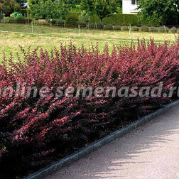 ����  �������� �������� ������������ (3 ��.), ������ �� 1470 ���