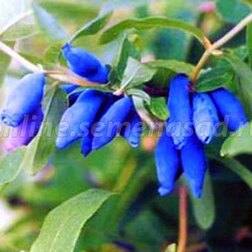 ����  ������� ��������� ��������� �������������, ������ �� 349 ���