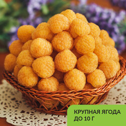 ����  ������ ������������ ������� ������, ������ �� 269 ���