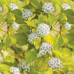 ����  ������������� ������������� ����� ����, ������ �� 663 ���