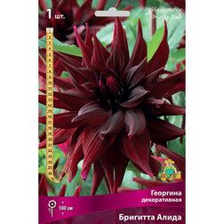 ����  �������� ������������ �������� �����, ������ �� 484 ���