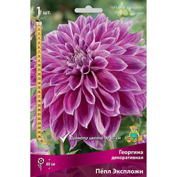 ����  �������� ������������ ���� �������� (1 ��.), ������ �� 467 ���