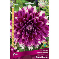 ����  �������� ������������ ���� ����� (1 ��), ������ �� 462 ���