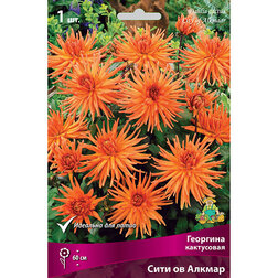 ����  �������� ���������� ���� �� �������, ������ �� 433 ���