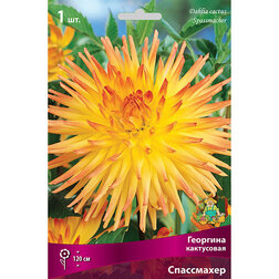 ����  �������� ���������� ����������, ������ �� 433 ���