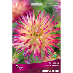 ����  �������� �������������� ����� �������, ������ �� 462 ���