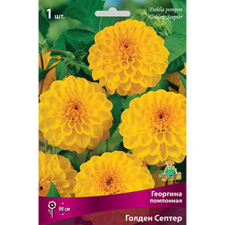 ����  �������� ��������� ������ ������, ������ �� 433 ���