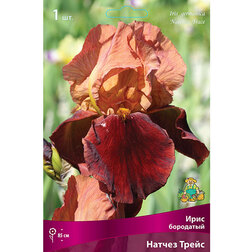 ����  ���� ��������� ������ �����, ������ �� 455 ���