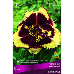 ����  �������� ��������� ������ ����*, ������ �� 317 ���