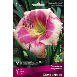 ����  �������� ��������� ����� ������*, ������ �� 300 ���