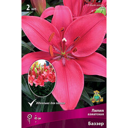 ����  ����� ��������� ��������� ������ (2 ��.), ������ �� 306 ���