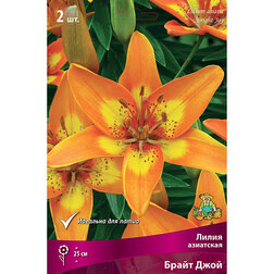 ����  ����� ��������� ��������� ����� ����, 2 ��., ������ �� 299 ���