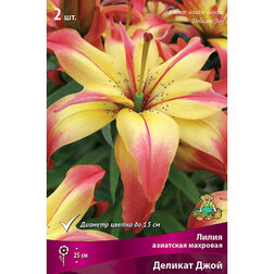 ����  ����� ��������� �������� ������� ���� (2 ��.), ������ �� 462 ���