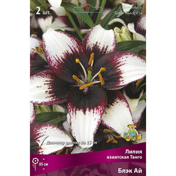 ����  ����� ��������� ����� ���� �� (2 ��.), ������ �� 387 ���