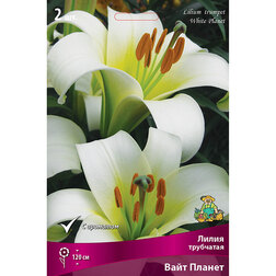 ����  ����� ��������� ���� ������ (2 ��.), ������ �� 421 ���