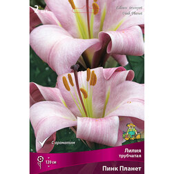 ����  ����� ��������� ���� ������ (2 ��.), ������ �� 421 ���