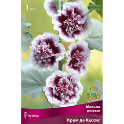 ����  ������ ������� ���� �� ������, ������ �� 314 ���