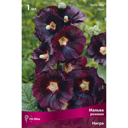 ����  ������ ������� �����, ������ �� 229 ���