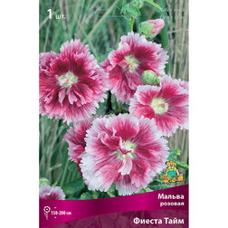 ����  ������ ������� ������ ����, ������ �� 314 ���