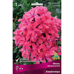 ����  ����� ����������� ���������, ������ �� 348 ���