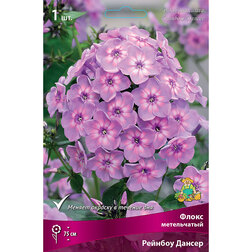 ����  ����� ����������� ������� ������, ������ �� 317 ���