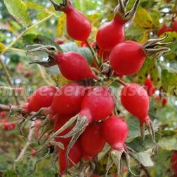 ����  �������� ���������� �����, ������ �� 349 ���