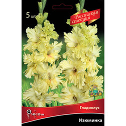 ����  ��������� �������� (5 ��.), ������ �� 595 ���