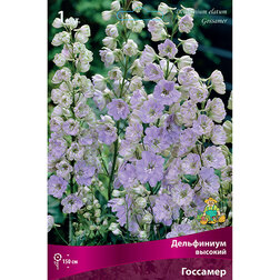 ����  ���������� ������� ��������, ������ �� 595 ���