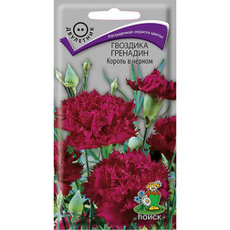 ����  �������� �������� ������ � ������, ������ �� 26 ���