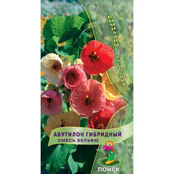 ����  �������� ��������� ����� ������, ������ �� 31 ���