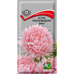 ����  ����� ����������� �����, ������ �� 27 ���