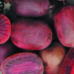 ����  ��������� ������ �������� ������, ������ �� 519 ���