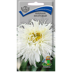 ����  ������� ��������, ������ �� 33 ���