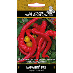 ����  ����� ������ ������� ���, ������ �� 29 ���