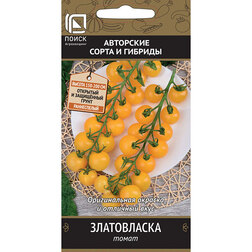 ����  ����� �����������, ������ �� 29 ���