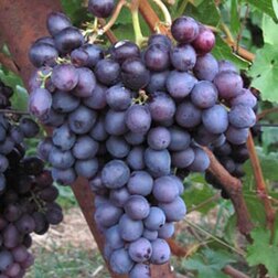 ����  �������� �������� ����� ��������, ������ �� 349 ���