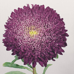 ����  ����� ������ �������� ��� (1 ��-1000��) ���������������� ������, ������ �� 1920 ���