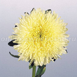 ����  ����� ������ �������� ����� (1 ��-1000��) ���������������� ������, ������ �� 1920 ���