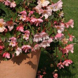      - (1 -1000)  ,   2720 