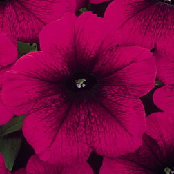 ����  ������� ����������� ����� ������� (1��-1000 �����) ���������������� ������, ������ �� 1472 ���