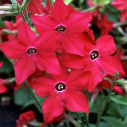 ����  ����� ������ ��� (1��-1000�����), ������ �� 2880 ���