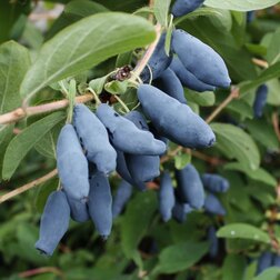 ����  ������� ��������� ��������� ������, ������ �� 349 ���