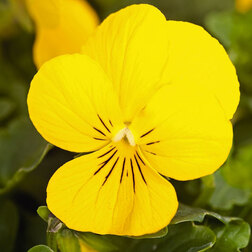 ����  ������ ������� ������ ����� (1��-1000��), ������ �� 4800 ���