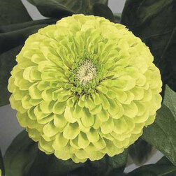 ����  ������ ������� ������ ���� (1����-1000��)���������������� ������, ������ �� 6400 ���