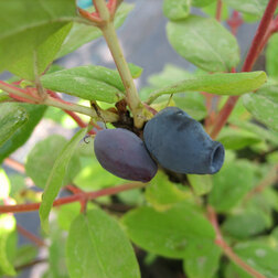 ����  ��������� ��������� ����������, ������ �� 349 ���